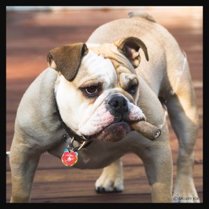 "Maybe you didn't hear me the first time. I ain't goin' nowheres."