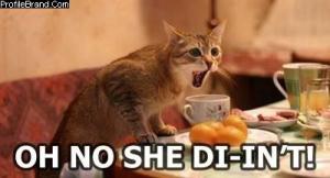 God bless the Internet.