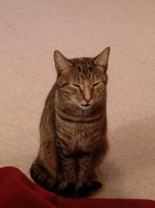 "You somehow made this room MORE boring."