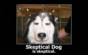 skeptical_dog1-180hprn